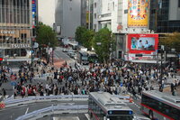 Shibuya Crossing