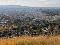 View Over Nara