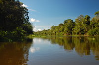 Muyuna Lodge Tributary