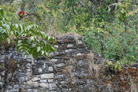 La Congona, Leimebamba