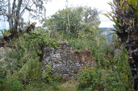 La Congona, Leimebamba