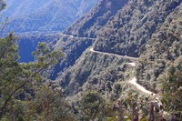 Death Road