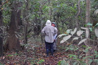 Lost in Amazon Rainforest