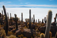 Salar de Uyuni