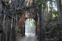 Ranthambhore entrance