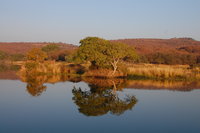 Ranthambhore Lake