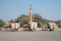 Bikaner street scene