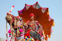 Bikaner camel fair