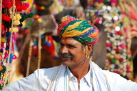 Bikaner camel fair