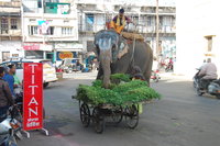 Traffic in Udaipur