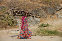 Udaipur countryside