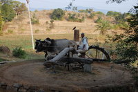 Udaipur countryside