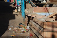 The streets of Jodhpur
