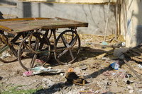 The streets of Jodhpur