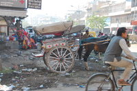 The streets of Jodhpur