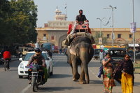 Jaipur street