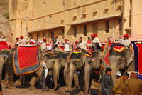 Amer Palace