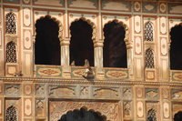 Galta Temple, Jaipur