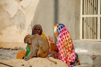 Galta Temple, Jaipur