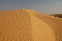 Camel safari, Jaisalmer