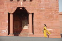 Local on Rajpath, Delhi
