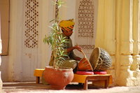 Musician, Mehrangarh fort, Jodhpur