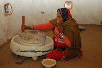 Bishnoi grinding wheat, Jodhpur