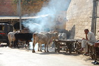 Jaisalmer street