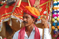 Bikaner camel dude