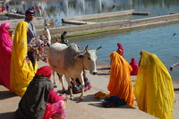 Pushkar lake