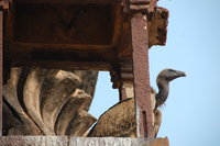 Chhatris, Orchha