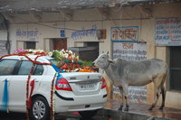 Orchha wedding car