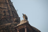 Chhatris, Orchha