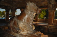 Nandi, Khajuraho