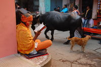 Varanasi street scene